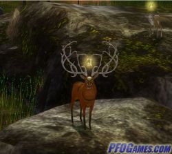 The Endless Forest